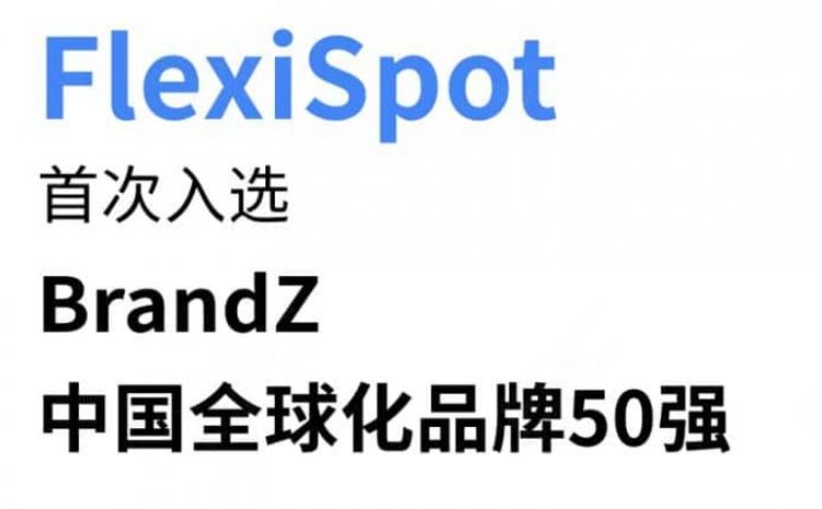  乐歌海外品牌FlexiSpot首次入选中国全球化品牌50强，同时荣获新晋全球化品牌的特别奖！